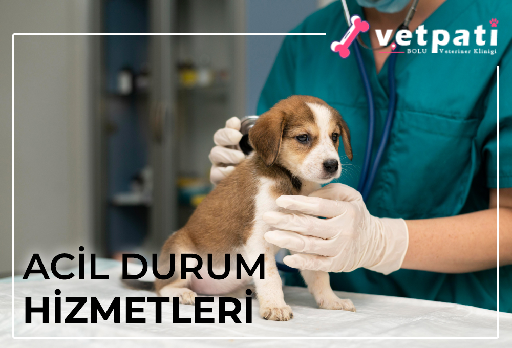 Acil Durum Hizmetleri