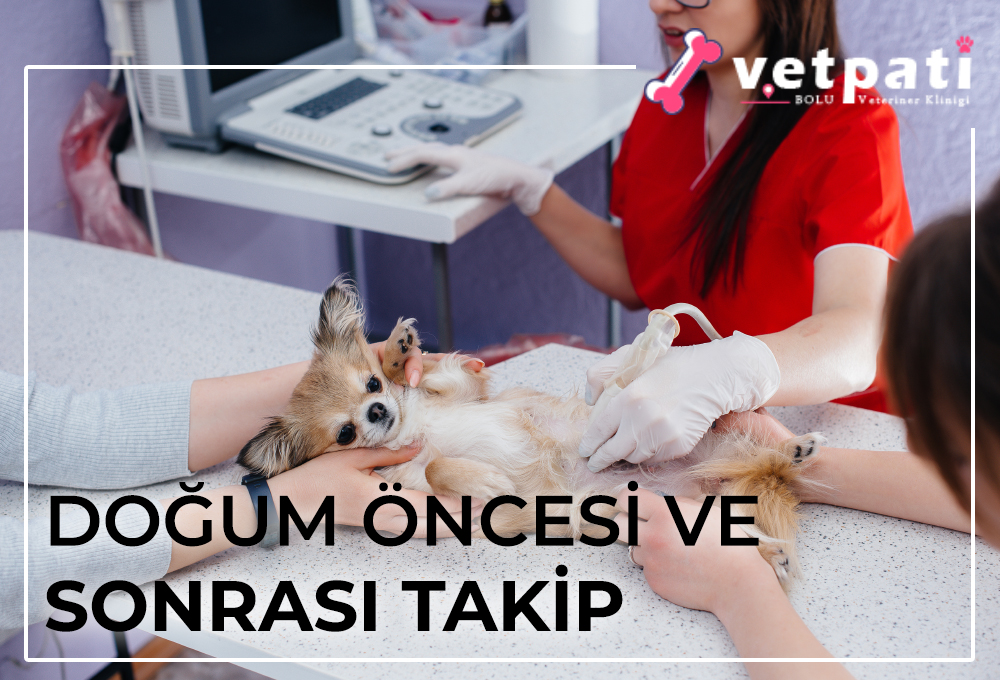 Doğum Öncesi ve Sonrası Takip