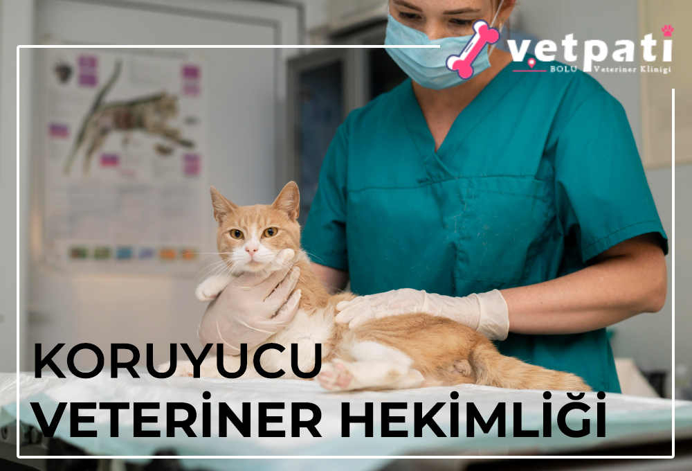 Koruyucu Veteriner Hekimlik